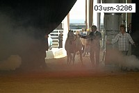 03usn-3286 proof