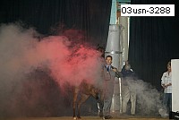 03usn-3288 proof