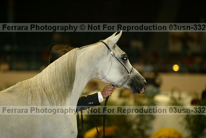 Proof 03usn-3326