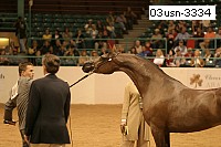 03usn-3334 proof