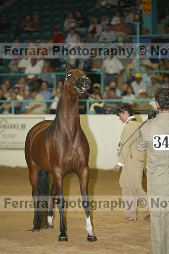 Proof 03usn-3343