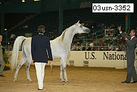 03usn-3352 proof
