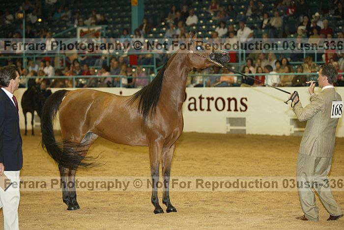 Proof 03usn-3364