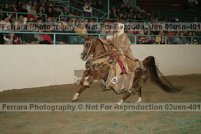 Proof 03usn-4013