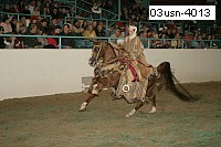 03usn-4013 proof