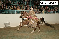 03usn-4034 proof