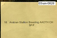03usn-0828 proof