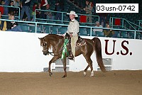 03usn-0742 proof