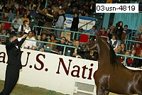 03usn-4819 proof