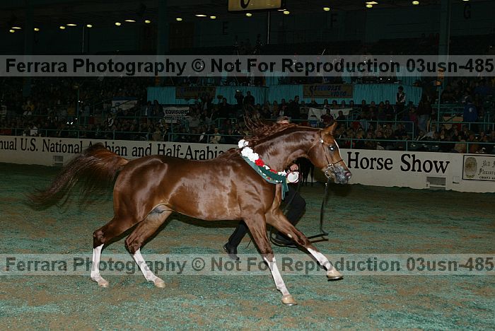 Proof 03usn-4856