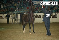 03usn-4373 proof