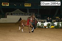 03usn-2864a proof