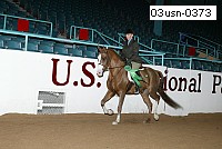 03usn-0373 proof