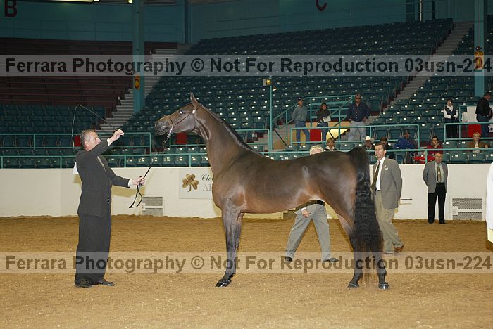 Proof 03usn-2242