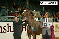 03usn-0591 proof