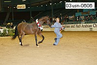 03usn-0606 proof