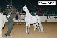 03usn-0405 proof