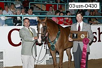 03usn-0430 proof