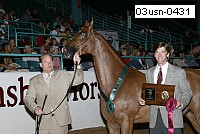 03usn-0431 proof