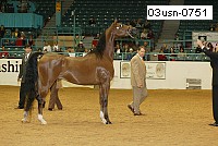 03usn-0751 proof