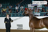 03usn-0031 proof