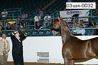 03usn-0032 proof