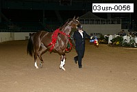 03usn-0056 proof