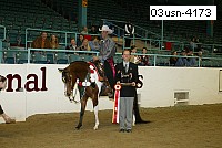 03usn-4173 proof