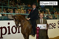 03usn-0823 proof