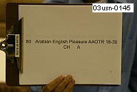 03usn-0145 proof