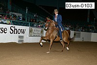 03usn-0103 proof