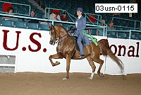 03usn-0115 proof