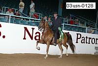 03usn-0128 proof