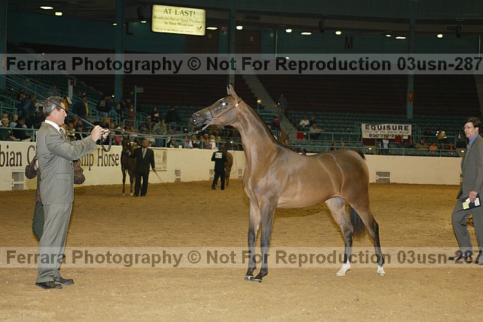 Proof 03usn-2877a