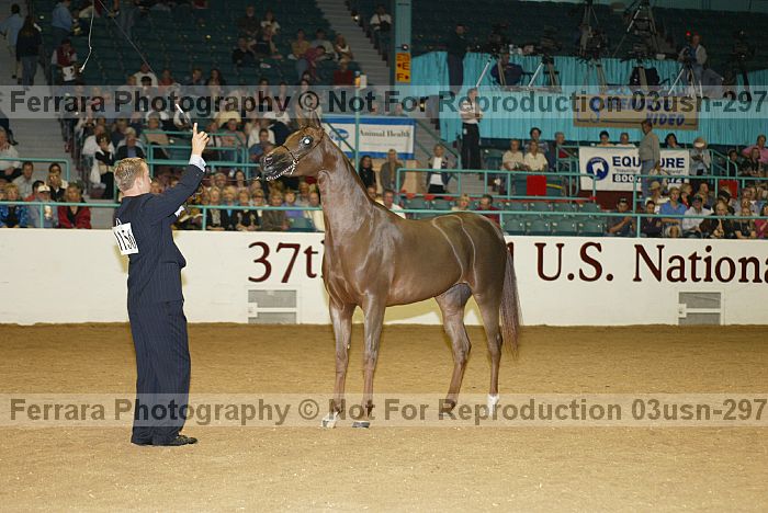 Proof 03usn-2979a