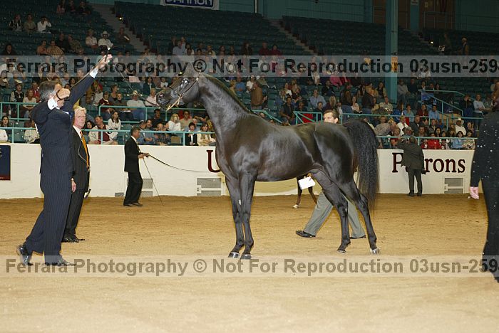 Proof 03usn-2594