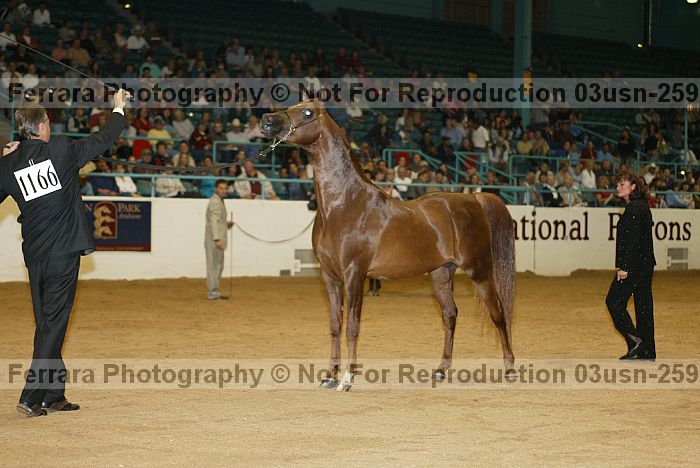 Proof 03usn-2599