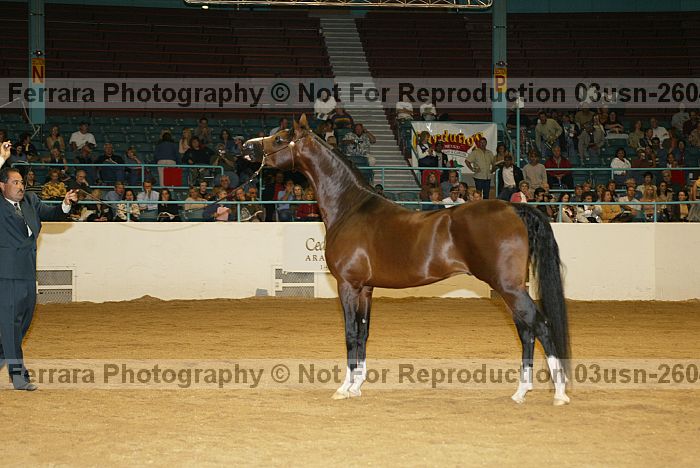 Proof 03usn-2604