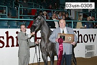 03usn-0306 proof