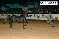 03usn-0322 proof
