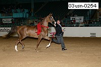 03usn-0254 proof