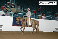 03usn-0785 proof