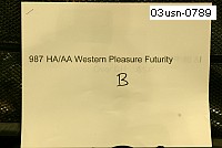 03usn-0789 proof