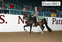 03usn-0681 proof