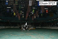 03usn-3727 proof