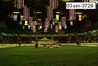 03usn-3729 proof