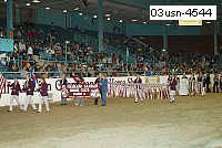 03usn-4544 proof