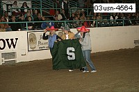 03usn-4564 proof
