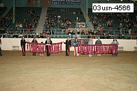 03usn-4566 proof