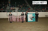 03usn-4571 proof